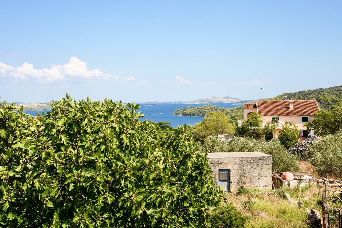 Apartment Lordanic Zaglav, Dugi Otok Екстер'єр фото
